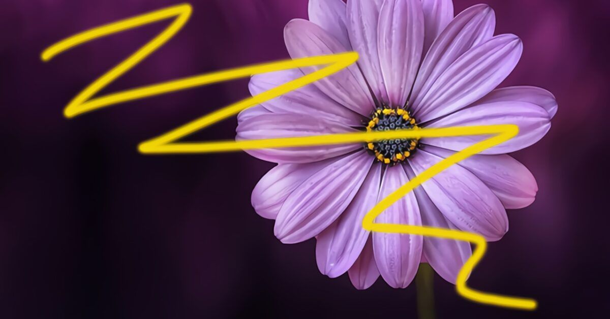 Guide on removing scribbles from photos